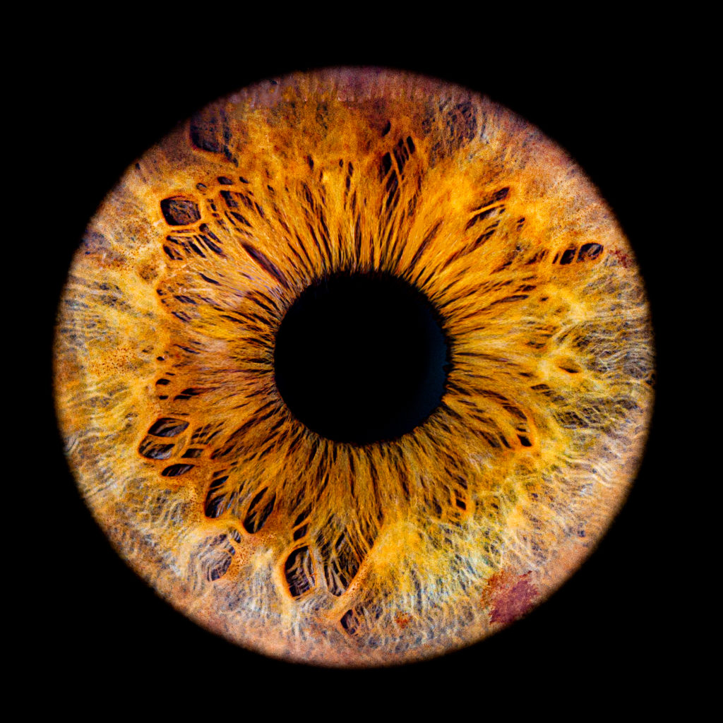 photographe-iris-eure-et-loir
