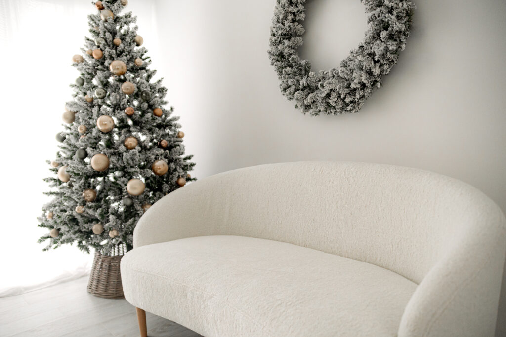 shooting-noël-photographe-eure-et-loir
