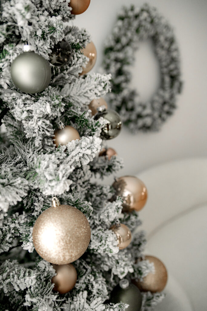 shooting-noël-photographe-eure-et-loir